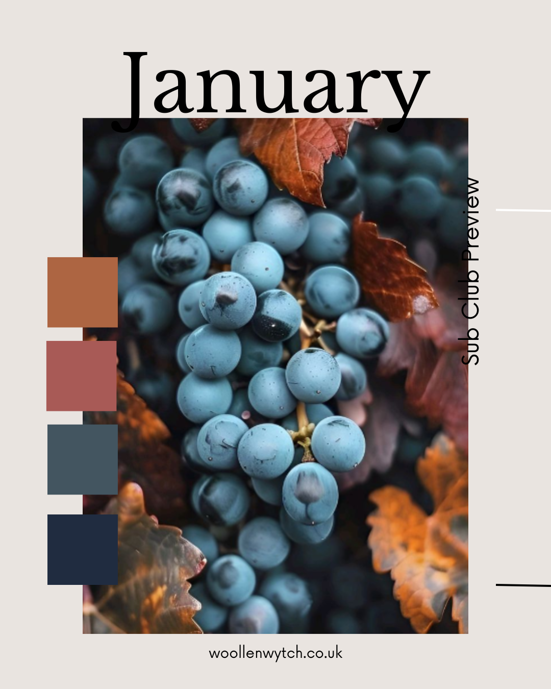 The Sub' Club // Monthly Yarn Subscription