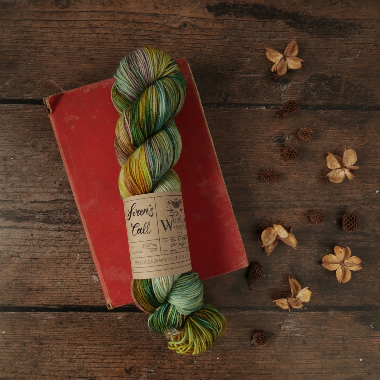 Siren's Call - Sock/ 4ply Yarn Yarn Woollen Wytch