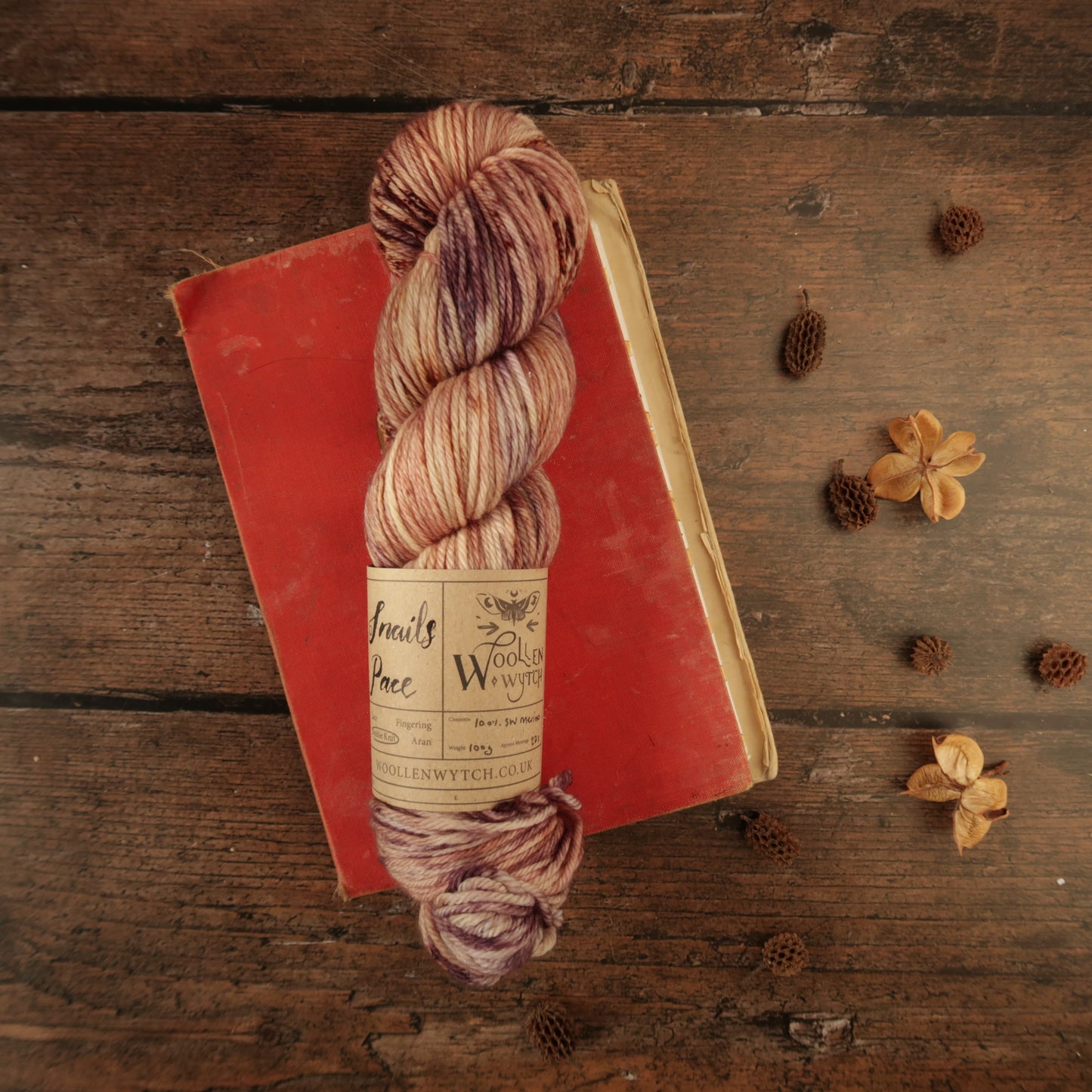 Snail's Pace - DK Yarn Yarn Woollen Wytch