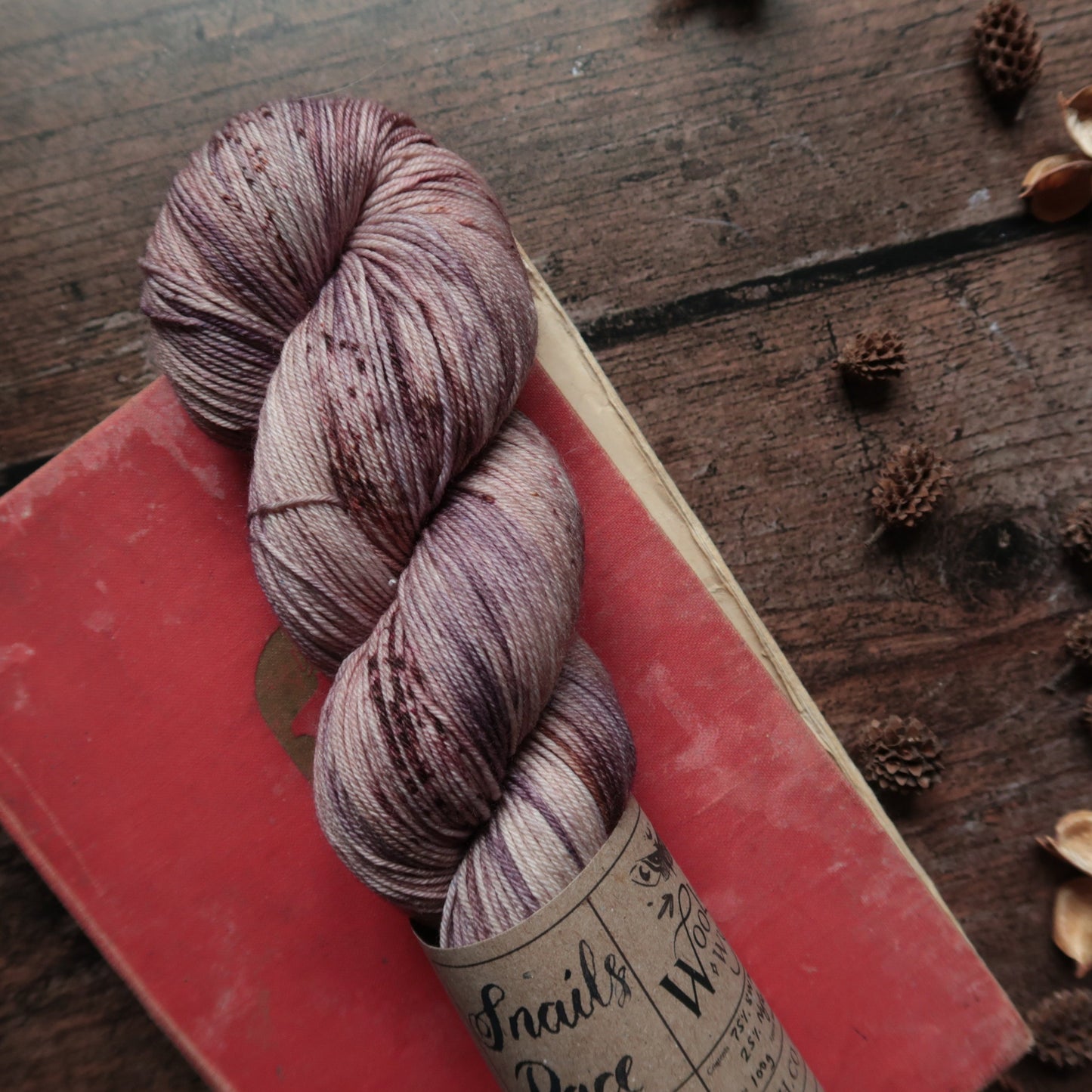 Snail's Pace - Sock/ 4ply Yarn Yarn Woollen Wytch