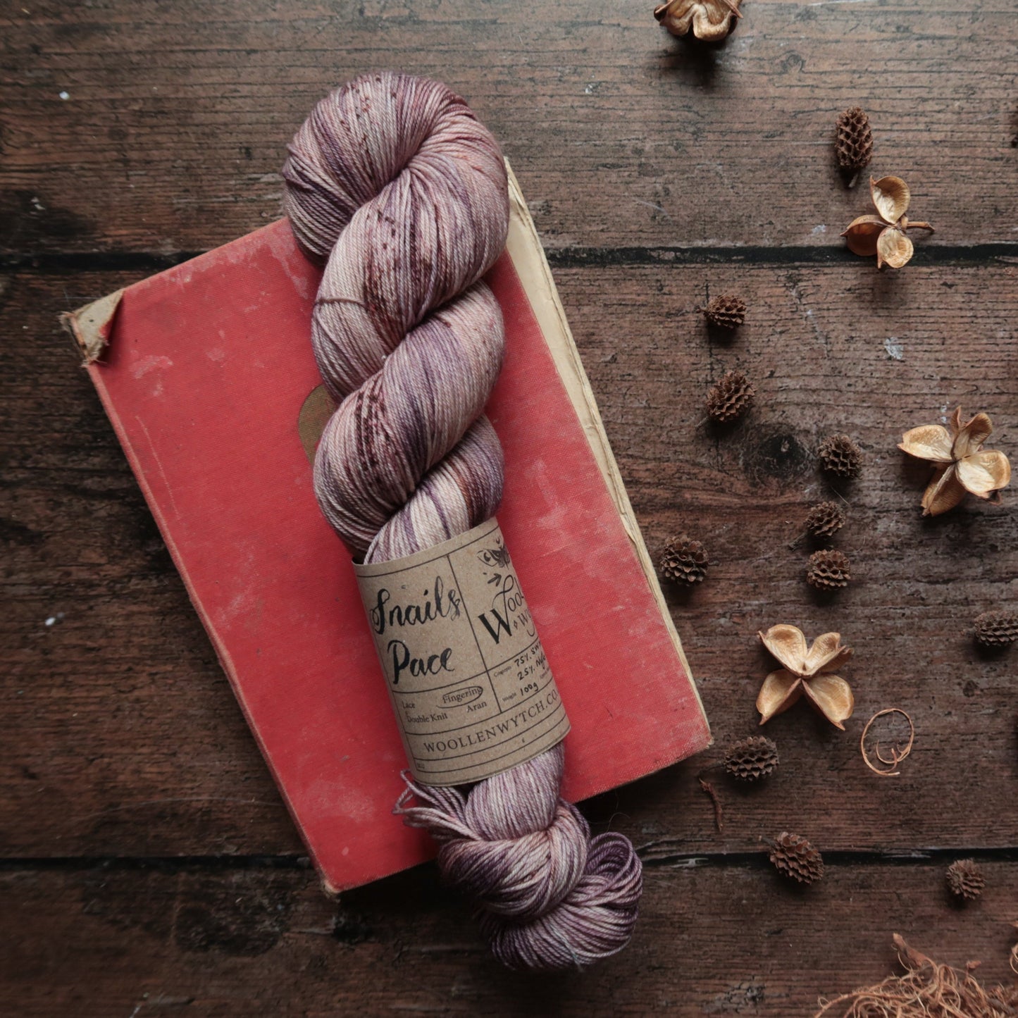 Snail's Pace - Sock/ 4ply Yarn Yarn Woollen Wytch