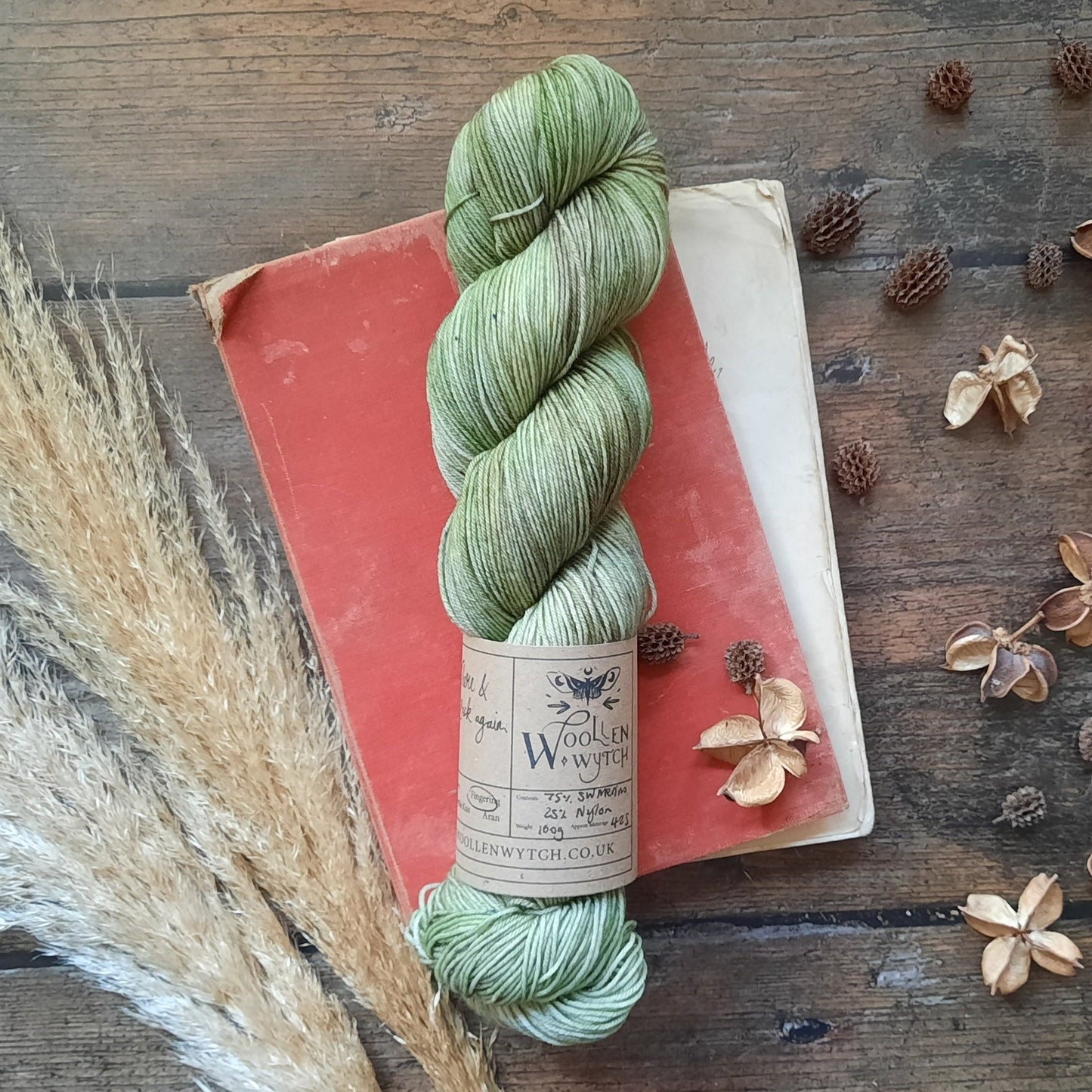 There & Back again - Sock/ 4ply Yarn Yarn Woollen Wytch
