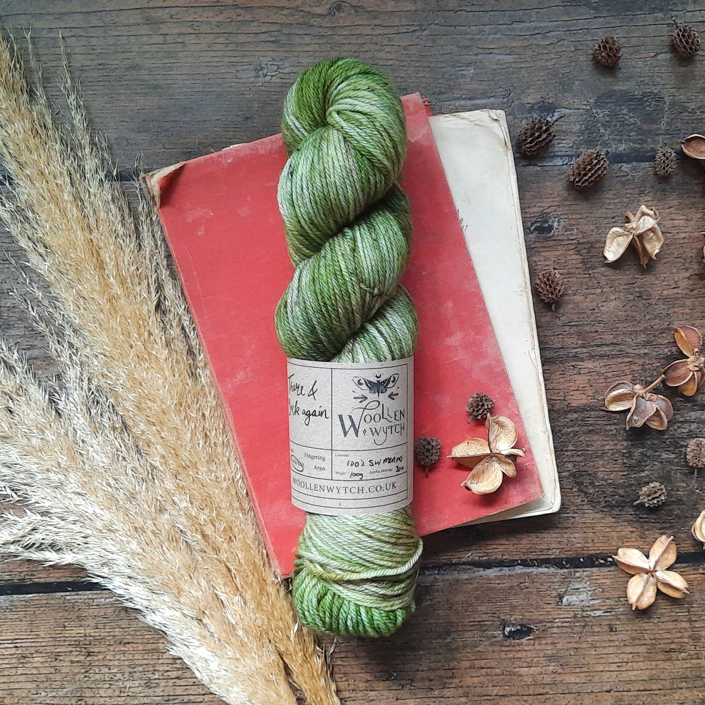There & Back again - Superwash DK Yarn Yarn Woollen Wytch