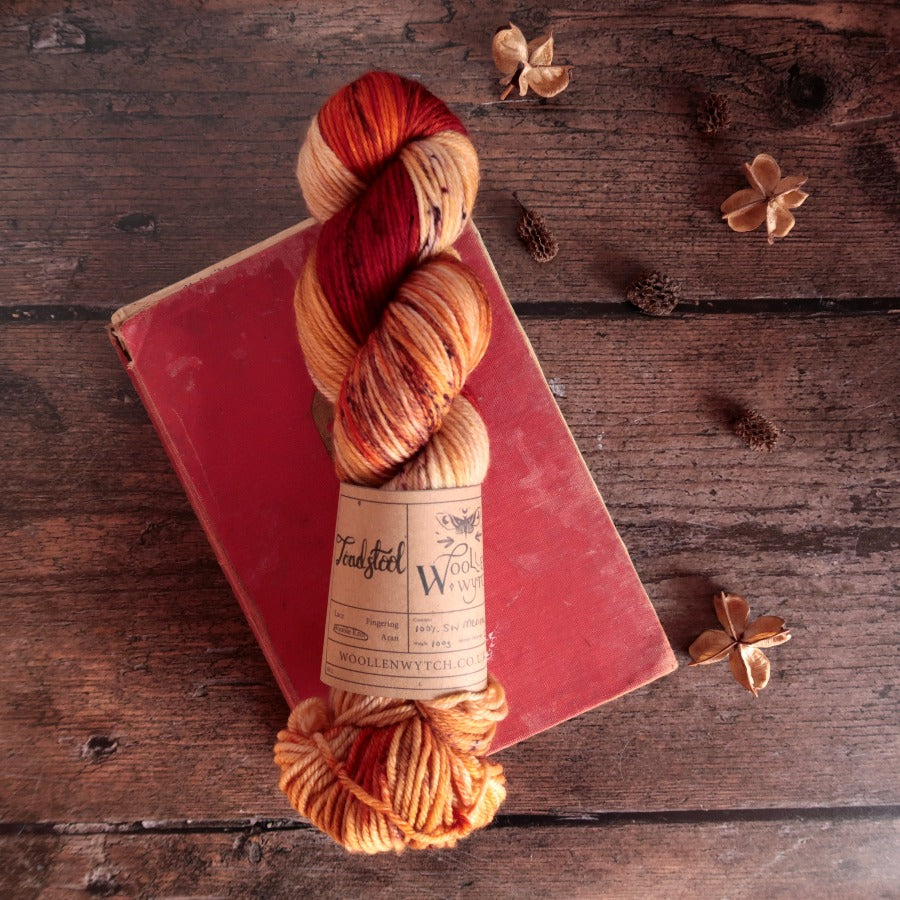 Toadstool - Superwash DK Yarn