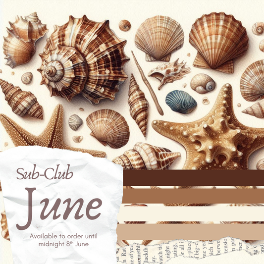 The Sub' Club // Nautical Nexus