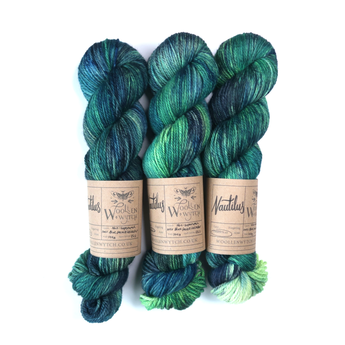 underwater nautilus hand dyed double knit yarnusing british bfl wool by woollen wytch